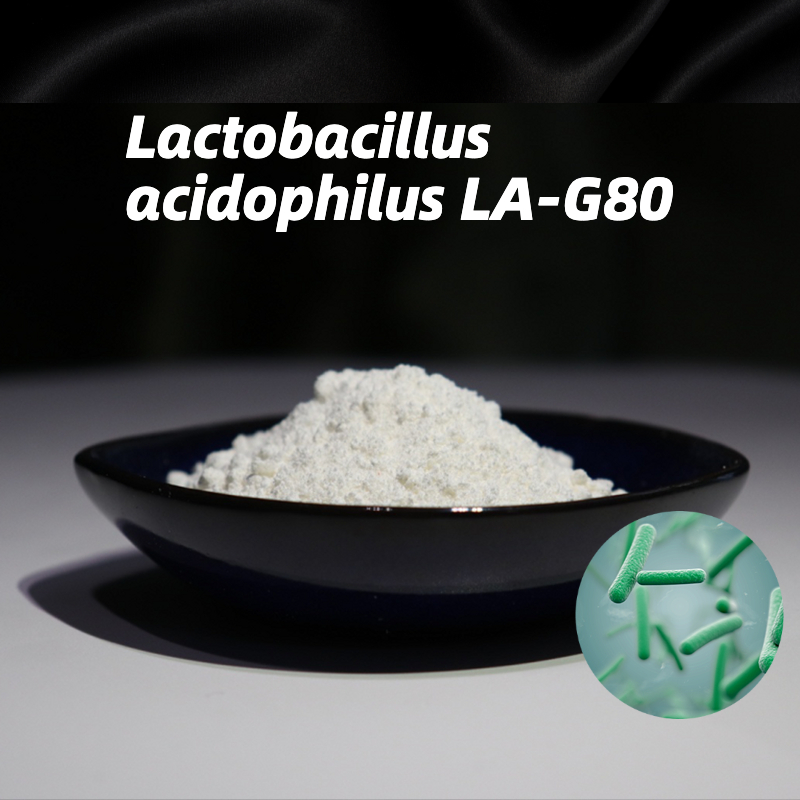 High Stability Freeze-Dried Probiotic Powder Lactobacillus acidophilus